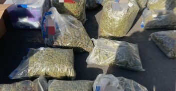 120 ק"ג וחמישה חשודים בשני תיקים של מעבדות מריחואנה במרכז