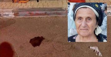 נהג טען שלא היה מודע לפגיעה במנוחה במעבר חצייה ולא יואשם בהפקרה