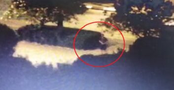 הסדר טיעון למקורב לאחים לביא שנתפס עם אקדח טעון