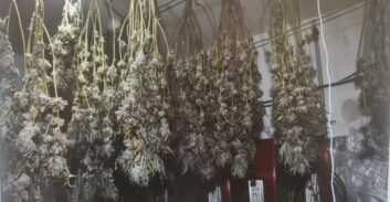 נתיבות: אישום נגד שלושה שנעצרו במעבדת הידרו מכינים קנאביס להפצה