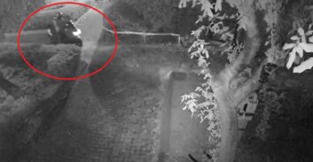 חשוד ברצח למדובב: "דקרתי אותו עשרות פעמים, אמרתי לו תמות כבר"