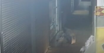 צפו בסרטון: נאשמת בהצתת מסעדה בקריות בטענה שמכרה אוכל לא כשר