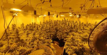 המשטרה איתרה שלוש מעבדות הידרו בטירת הכרמל ובחיפה