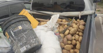 בזמן שהפגנתם: שוטרי מג"ב עצרו שמונה חשודים בגניבת תוצרת חקלאית בדרום