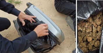 חשד: מוכר למשטרה מדימונה שלח לצפת צעיר עם מזוודת מריחואנה