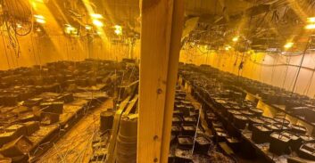 מעבדת קנאביס התגלתה בחיפוש במשק של משפחה בדרום הארץ