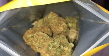 תיק "גוסטבו": כתב אישום נגד מפעילי תחנת סמים וירטואלית בנתניה