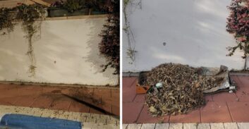 בוקי נאה: עיריית ר"ג מונעת פינוי גזם עקב פעילותי באצטדיון וינטר