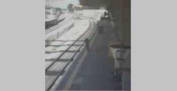 תיעוד: נוסע נפל למסילת הרכבת בחיפה וחולץ על ידי צוות התחנה