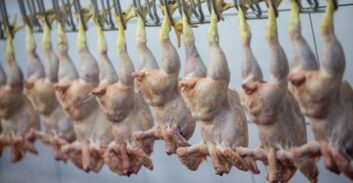 בימ"ש מחק לאסיר משוחרר 98 אחוז מחמישה מיליון שקל חוב למע"מ