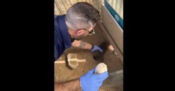 צפו בסרטון: קילוגרם הרואין ליד גן משחקים בדרום תל אביב