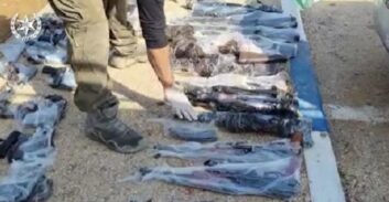 שבע שנות מאסר לאישה שהעבירה 53 כלי נשק מהצפון לירושלים