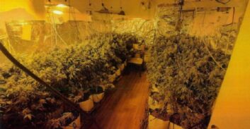 שיקום לקטין שהיה שותף בהקמת מעבדת סמים וצפוי להתגייס לצה"ל