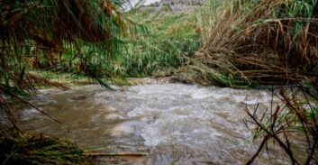 בכירים בישיבה נאשמים בגרימת מוות ברשלנות של נער שטבע במהלך טיול