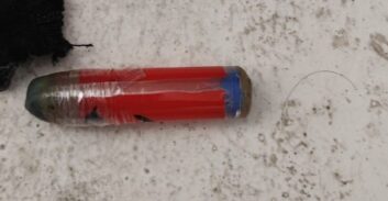 חשד: אסיר פלסטיני ניסה להבריח ביום השחרור זרע של אסיר אחר