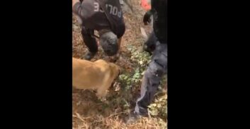 תושב ראשל"צ נעצר בחשד להחזקת אמל"ח סמוך לביתו