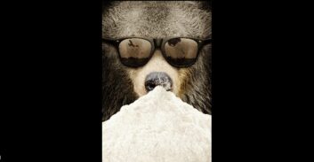 הדוב הרע והאבקה הלבנה