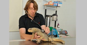 הווטרינר לשעבר בספארי עתר לבית המשפט נגד עיריית רמת גן