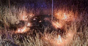 אישום: מוכר למשטרה סחט באיומים שומרים בחווה והצית את הגידולים