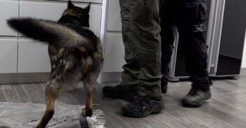 הסיבה להסדר טיעון בתיק מעבדת הידרו והחזקת סמים קשים