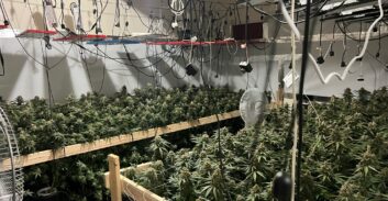 שחרור באיזוק לשני נאשמים בהתחזות, הקמת מעבדת סמים ואיומים על שוטרים