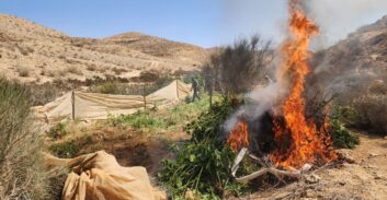 עשרות חממות קנאביס אותרו בשטחי אש בנגב