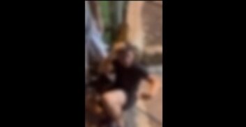 תיעוד: נערים מכים עד זוב-דם, נער מאוים באקדח מתחנן על חייו