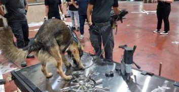 חשד: בחור ישיבה מירושלים הוא ה"קוף" ביבוא 220 ק"ג קוקאין