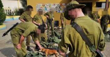 מתארגנת עצומה של לוחמים בשדה הקרב