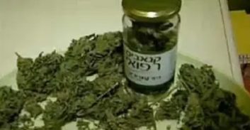 בגלל המלחמה: רישיונות קנאביס יוארכו אוטומטית לשלושה חודשים