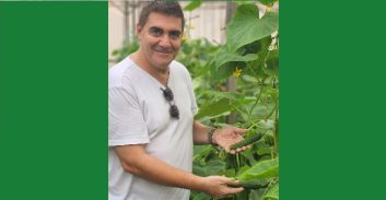 רון לוינטל בקטיף מלפפונים סמוך לקיבוץ רעים