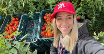 הפרקליטים במתחם משרדי אורנת קמרון קוטפים עגבניות