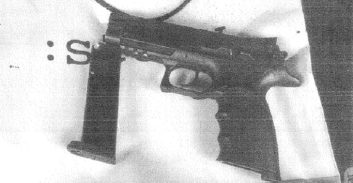 לוחם הנדסה קרבית לשעבר הורשע בתיק ירי ובגידול 23 ק"ג קנאביס