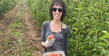 צו 8 לחקלאות: מירב נוסבוים בקטיף תפוחים בגבול הצפון