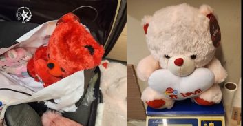 חשד: פעיל בחב"ד תאילנד הבריח זרעי קנאביס בתוך "דובוני יום האהבה"