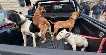 כלבי ציד, ציפורי שיר ודורבנים קפואים נתפסו בחיפוש בבית בכפר בענה