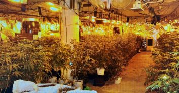 שני כתבי אישום על מעבדות ענק לגידול קנאביס ברחובות ובני-ברק