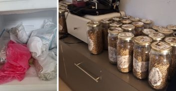 תושב תל אביב נעצר בחשד לגידול פטריות הזיה