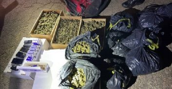 הסדר טיעון למוכר למשטרה מירושלים שנתפס עם 11 ק"ג קנאביס ברכב