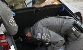 חיפה: שוחרר חשוד בהחזקת קנאביס ו-110 קופסאות סיגריות גנובות