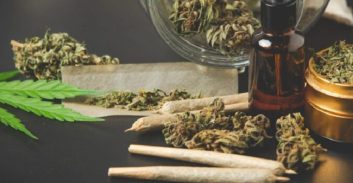 העונש ל"מלאך של הקנאביס" בתיק החזקה וגידול סמים בביתו