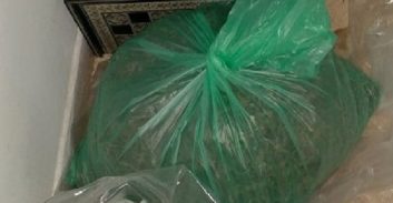 שני חשודים בגידול מאות שתילי קנאביס במחסן בראשון לציון