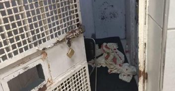 הסנגוריה הציבורית קוראת לריצוי מאסרים באיזוק אלקטרוני ביתי כפיתרון למשבר שב"ס