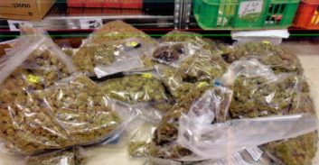 צעיר מאלעד חשוד בהחזקת 11 ק"ג מריחואנה וסחר בסמים