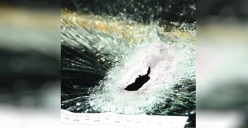 מחמוד הייב מטובא זוכה מניסיון רצח של צעיר עם 24 כדורים