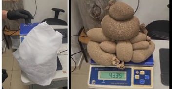 חשד: הבריח לישראל יותר מארבעה ק"ג זרעי קנאביס בתוך כרית