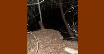 נבדק חשד לאונס של נערה כבת 17 באזור השפלה