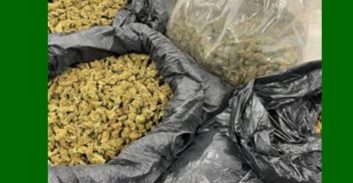 מגדל מריחואנה התלונן שנסחט על ידי שותפיו