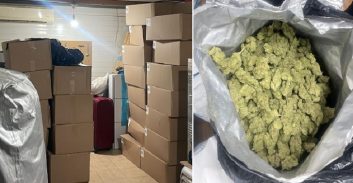 הסדר טיעון לנאשמים שהחזיקו עשרות ארגזי קנאביס רפואי של סוכנות ממשלתית