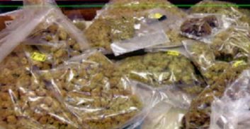 הסדר-טיעון לצעיר מאריאל שנתפס עם 100 שקיות קנאביס והורשע בסחר בסמים